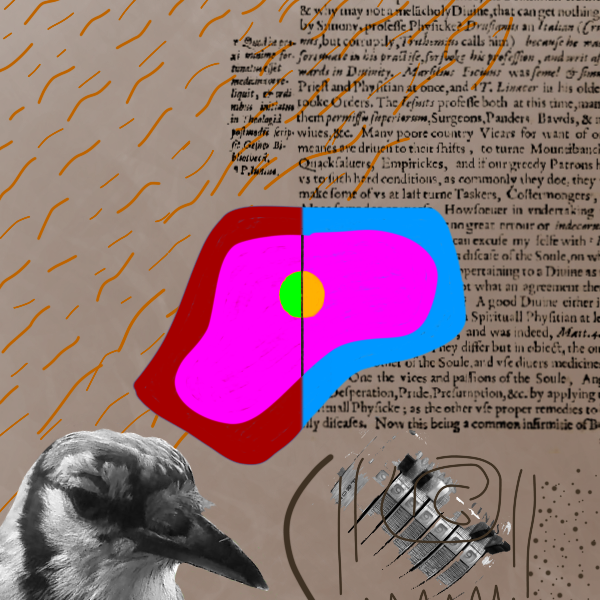 A symmetrically varied brown background. Orange squiggles run diagonally on the left, oriented lower-left to upper-right. Over all this, a block of text (with a marginal smaller block of text to its left) in old type from a page of Burton’s Anatomy of Melancholy. Over all this, a blobby, multicolored shape that includes a vertically bisected 2-color circle. At the bottom, parts of a machine—black abstract doodles over that. At the lower left, a black-and-white photo of a blue jay from the neck up, looking down and to the right.